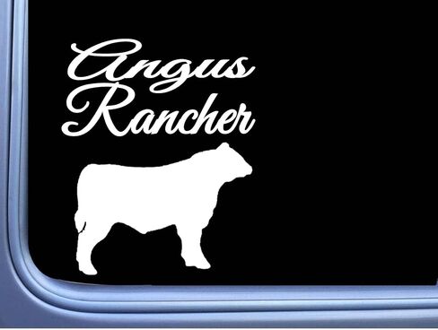 Angus Rancher Bull Decal 6 "Sticker OS 270 Cattle Cow Aberdeen Beef in Saudi Arabia