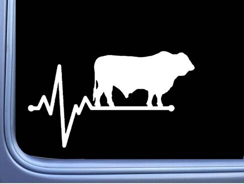 Santa Gertrudis Lifeline Bull Decal 6" Sticker OS 250 cattle cow in Saudi Arabia