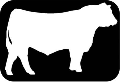 Hereford Bull Decal 6 "ملصق OS 259 ​​بقرة الماشية in Saudi Arabia