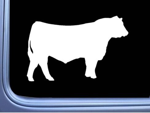Hereford Bull Decal 6 "ملصق OS 259 ​​بقرة الماشية in Saudi Arabia