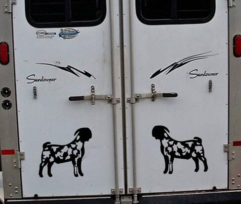 Dapple Boer Goat Sticker Mirrored Decals OS 187 12" window decal in Saudi Arabia