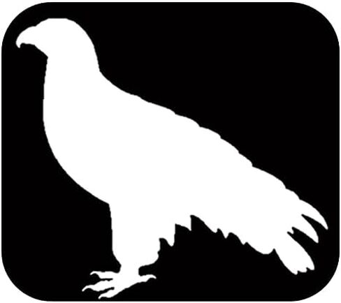 Falcon Plain TP 623 Sticker 6" Decal falconry hawk birds of prey equipment in Saudi Arabia