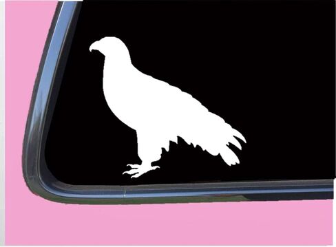 Falcon Plain TP 623 Sticker 6" Decal falconry hawk birds of prey equipment in Saudi Arabia