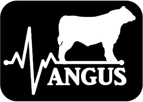Angus Lifeline Word Bull Decal 6 "Sticker OS 273 Cattle Cow Aberdeen Beef in Saudi Arabia