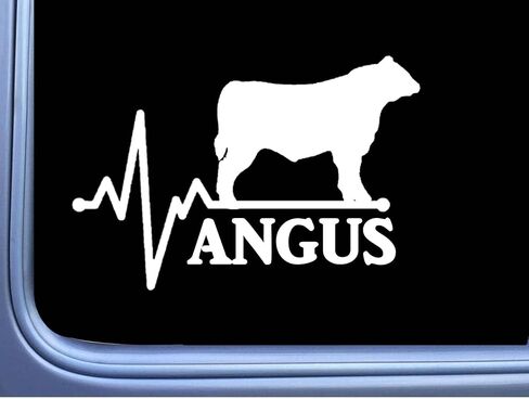Angus Lifeline Word Bull Decal 6 "Sticker OS 273 Cattle Cow Aberdeen Beef in Saudi Arabia