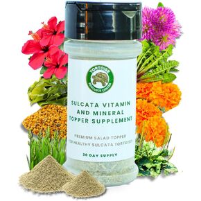 Sulcata Tortoise Calcium, Vitamin and Mineral Topper Supplement | Salad Topper for Baby Sulcata Tortoises | Promotes Health, Immunity and Strong Shell | 30-Day Supply in Easy to Use Shaker in Saudi Arabia