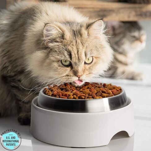 CatGuru Food Table for Cat Bowl, Non Slip Pet Feeding Station for Cat Food Bowls, Raised Stand for Food and Water Cats Bowls, Elevated Pet Feeder, Stress Free Pet Dish Stand (Marshnallow) in Kuwait