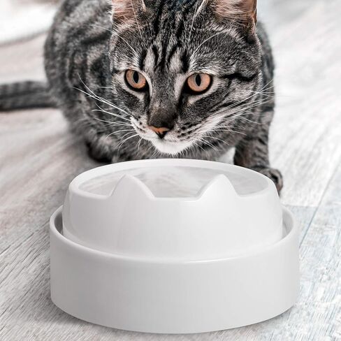 CatGuru Food Table for Cat Bowl, Non Slip Pet Feeding Station for Cat Food Bowls, Raised Stand for Food and Water Cats Bowls, Elevated Pet Feeder, Stress Free Pet Dish Stand (Marshnallow) in Kuwait
