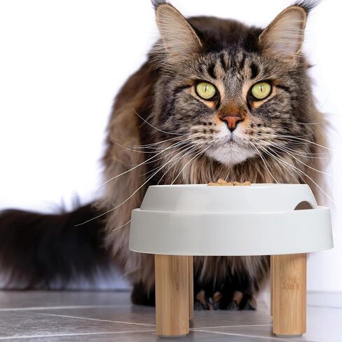 CatGuru Food Table for Cat Bowl, Non Slip Pet Feeding Station for Cat Food Bowls, Raised Stand for Food and Water Cats Bowls, Elevated Pet Feeder, Stress Free Pet Dish Stand (Marshnallow) in Kuwait