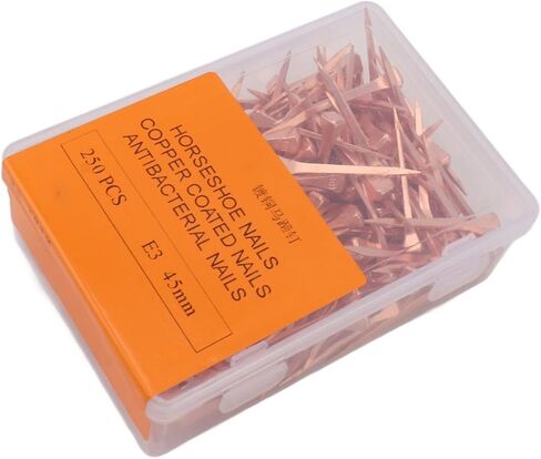 250pcs Prated Proof Proof Horseshoe Nails Externing Riding Equipment Supplies (45mm e3) in Kuwait