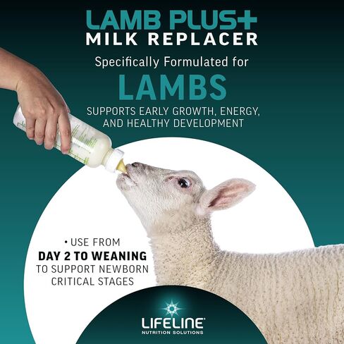 Annuso LifeLine Lamb Plus+ Adtlacer ، حقيبة 6 رطل - 23 ٪ من البروتين و 30 ٪ من الدهون - معززة مع Lifepulse لدعم إضافي - تشجع على الصحة المناعية والجهاز الهضمي والجهاز التنفسي - مسحوق Mix Easy -Mix in Kuwait