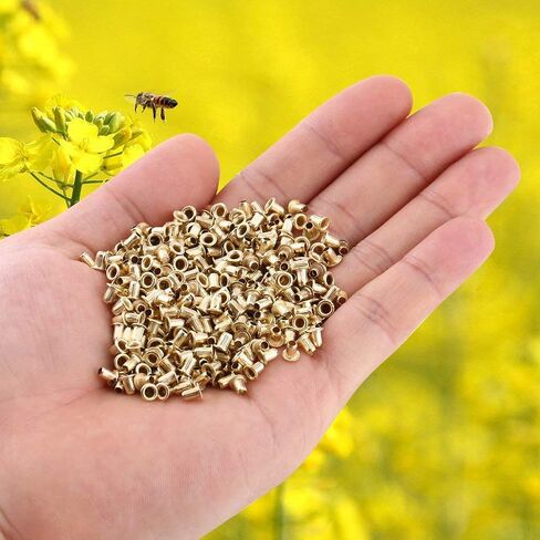 Walfront 1000PCS BEEHIVE END LEND THROWING HOLE SEELETS BEEELETS TOMELS FOR in Saudi Arabia