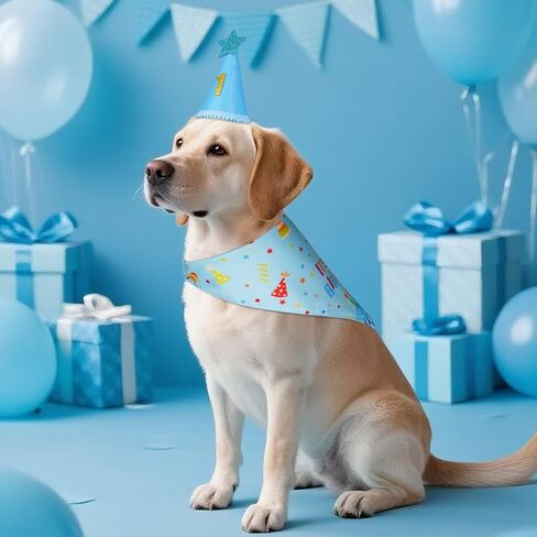 Dog Birthday Party Supplies with Hat Bandana Numbers, Light Blue Dog Birthday Set for Large Medium Pets Puppy Boy in Kuwait