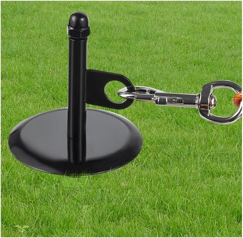 16''dog tie-out stake ، مرساة دوامة فضية متينة ، ربط آمن في الهواء الطلق لجميع سلسلة مقود الكابلات ، ساحة التخييم ، مقاومة للصدأ in Kuwait