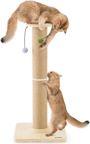 35 '' CAT CAT SCRECKING POST ، 4.7 ' in Kuwait