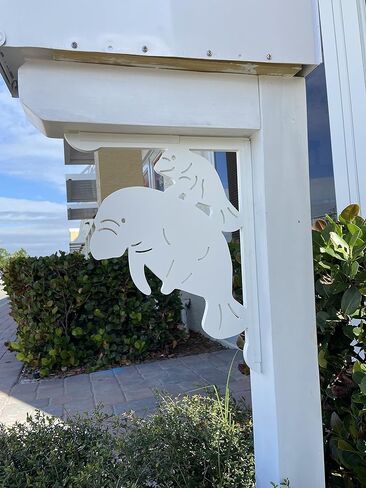 MANATEE مع Baby Mailbox Bracket (تصميم جديد). واسطة. طويل الأمد ورائع! 16 × 12 بوصة in Saudi Arabia