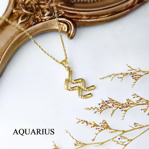 DZALIME Zodiac Necklaces for women,14K Gold Virgo Cancer Leo Pisces Libra Scorpio Taurus Sagittarius,Dainty Personalized Jewelry Astrology Gifts For Women in Saudi Arabia