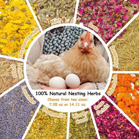 14.11oz Chicken Nesting Herbs Coop Refresher - 10 Premium Edible-Grade Herbs for Chicken Coop Accessories, Nesting Box, Herb Supplement for Backyard, Deodorizer Freshness, Enhanced Egg Production in Kuwait