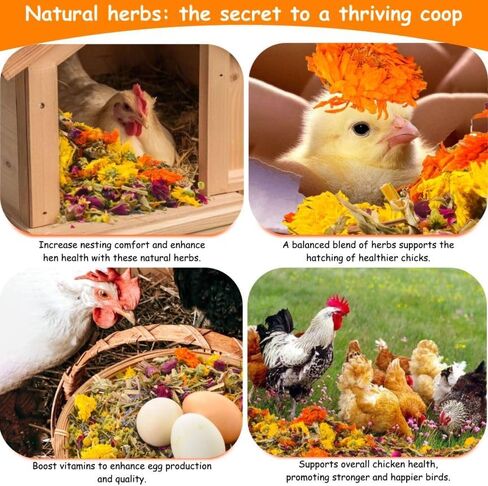 14.11oz Chicken Nesting Herbs Coop Refresher - 10 Premium Edible-Grade Herbs for Chicken Coop Accessories, Nesting Box, Herb Supplement for Backyard, Deodorizer Freshness, Enhanced Egg Production in Kuwait