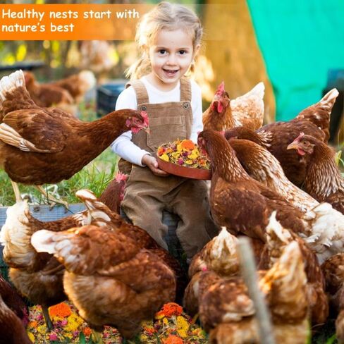 14.11oz Chicken Nesting Herbs Coop Refresher - 10 Premium Edible-Grade Herbs for Chicken Coop Accessories, Nesting Box, Herb Supplement for Backyard, Deodorizer Freshness, Enhanced Egg Production in Kuwait