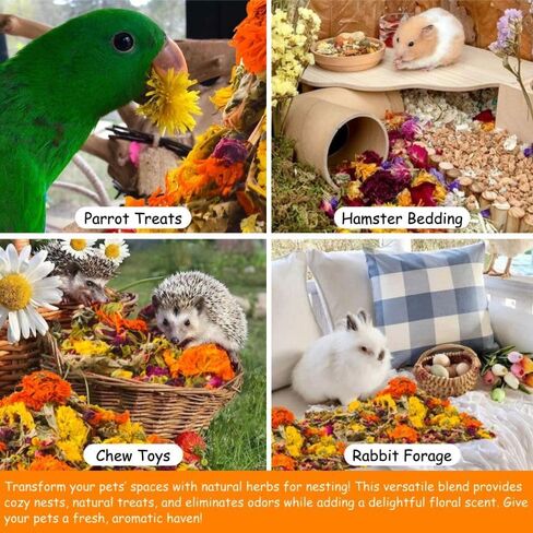 14.11oz Chicken Nesting Herbs Coop Refresher - 10 Premium Edible-Grade Herbs for Chicken Coop Accessories, Nesting Box, Herb Supplement for Backyard, Deodorizer Freshness, Enhanced Egg Production in Kuwait