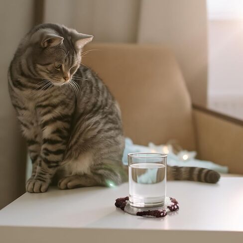 Vesici 6ps Cat Bum Punch Edele Kit ، 6 أنماط Cat Butt Punch Coaster ، الوقايات الإبداعية المنسوجة الممتعة للمبتدئين البالغين ، أدوات الوقايات مع اللصق ، الخيوط ، طوق للتطريز ، تعليمات in Saudi Arabia