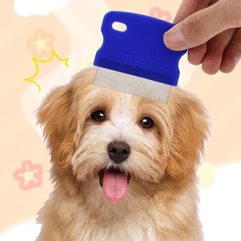 4 PCS Pet Flea Combs for Dogs & Cats, Cat Grooming Brush with Stainless Steel Teeth, Pet Flea Comb for Fleas and Ticks, Indoor Pets, Fine Tooth Comb for Kittens in Kuwait