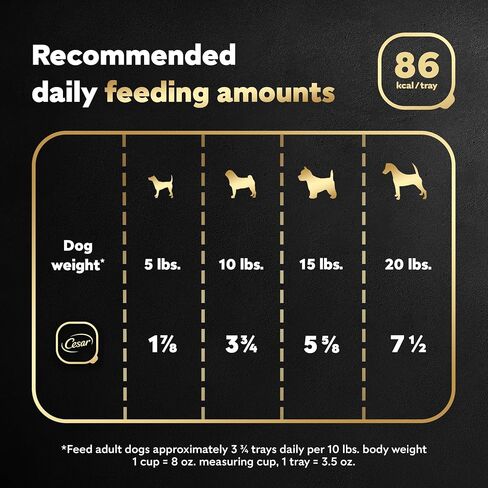 Cesar Wet Dog Food Classic Loaf in Sauce Filet Mignon Flavor ، 3.5 Oz. صواني قشر سهلة (24 عدد ، حزمة من 1) in Saudi Arabia