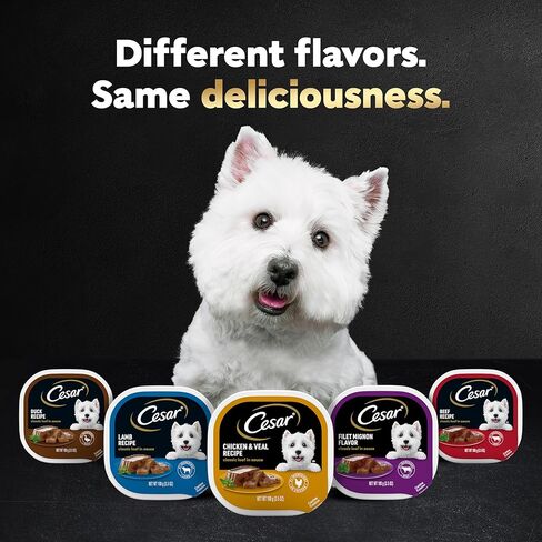 Cesar Wet Dog Food Classic Loaf in Sauce Filet Mignon Flavor ، 3.5 Oz. صواني قشر سهلة (24 عدد ، حزمة من 1) in Saudi Arabia