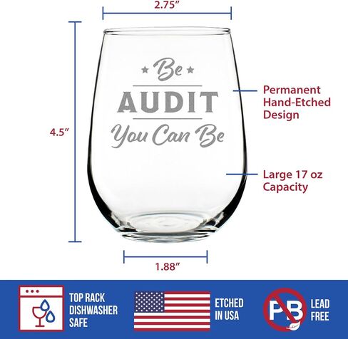 Be Audit You Can Be - Funny Accounting Wine Glass Gift for Accountants - Large Stemless Glasses in Saudi Arabia