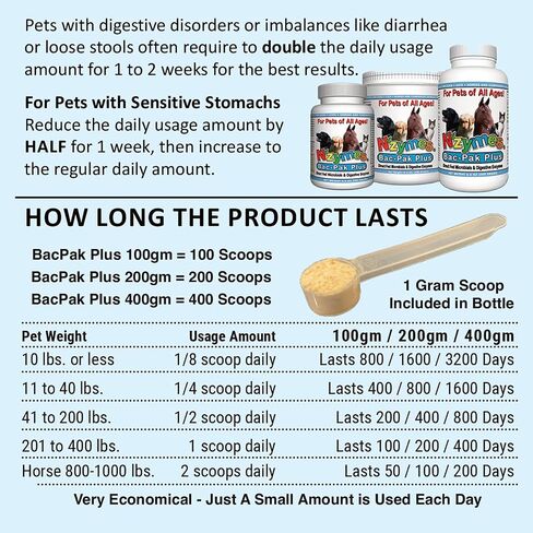 Nzymes® Bac-Pak Plus 100 Grams Digestive Enzymes and Probiotics for Digestion, Loose Stools, Diarrhea, Constipation, Improved Nutrient Uptake - Made in The USA in Saudi Arabia