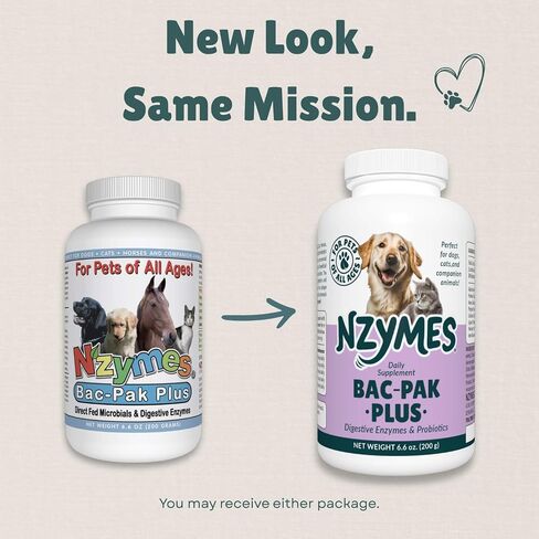 Nzymes® Bac-Pak Plus 100 Grams Digestive Enzymes and Probiotics for Digestion, Loose Stools, Diarrhea, Constipation, Improved Nutrient Uptake - Made in The USA in Saudi Arabia