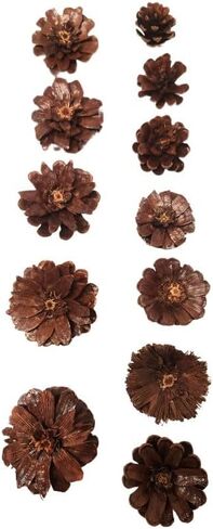 صياغة/زهور pinecone وأكثر من ذلك (بني ، بالحجم الكامل) in Kuwait