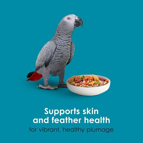 Kaytee Forti-Diet Pro Health+Safflower Nourish+Protect Parrot Food, Supports Breeding and Molting, Nutrition Backed by Science, Digestive and Brain Health, 4 pounds in Saudi Arabia