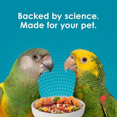Kaytee Forti-Diet Pro Health+Safflower Nourish+Protect Parrot Food, Supports Breeding and Molting, Nutrition Backed by Science, Digestive and Brain Health, 4 pounds in Saudi Arabia