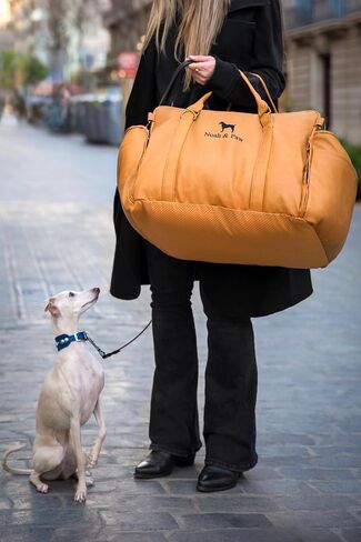 Noah & Paw Dog Car Carrier ، مقعد سيارة صغير للكلب للحيوانات الأليفة الصغيرة المتوسطة مع مقطع تسخير ، ميزة سلامة 4x ، سرير سفر معزز ، قابلة للغسل ، رغوة العظام ملفوفة بجلد نباتي ، نباتي ، in Kuwait