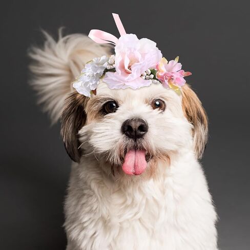 Housoutil Pet Flower Flower ، تاج الأزهار الاصطناعية القابلة للتعديل للكلاب ، طوق زهور الزفاف لمهرجان الزفاف الاحتفالات بالتصوير الفوتوغرافي الدعائم in Kuwait