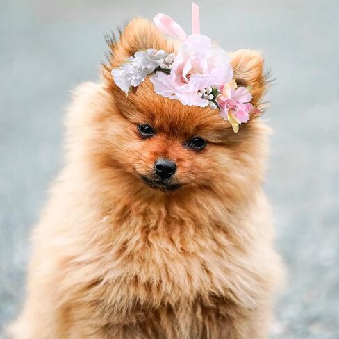 Housoutil Pet Flower Flower ، تاج الأزهار الاصطناعية القابلة للتعديل للكلاب ، طوق زهور الزفاف لمهرجان الزفاف الاحتفالات بالتصوير الفوتوغرافي الدعائم in Kuwait