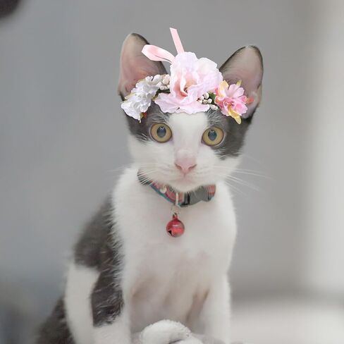Housoutil Pet Flower Flower ، تاج الأزهار الاصطناعية القابلة للتعديل للكلاب ، طوق زهور الزفاف لمهرجان الزفاف الاحتفالات بالتصوير الفوتوغرافي الدعائم in Kuwait