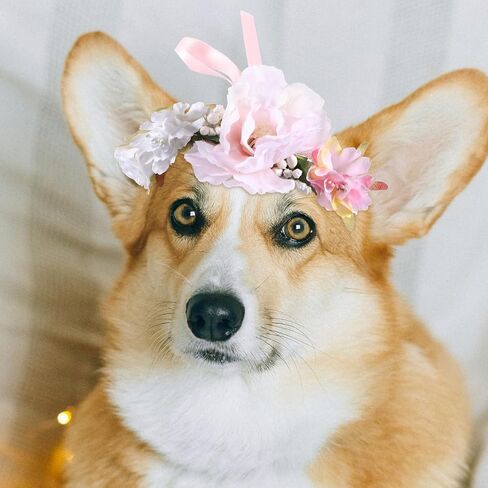 Housoutil Pet Flower Flower ، تاج الأزهار الاصطناعية القابلة للتعديل للكلاب ، طوق زهور الزفاف لمهرجان الزفاف الاحتفالات بالتصوير الفوتوغرافي الدعائم in Kuwait