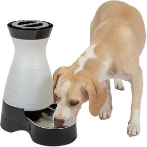 PetSafe Healthy Pet Water Station, 320 oz, Stainless Steel Bowl, Large in Kuwait