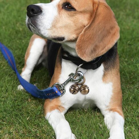 أجراس الكلاب لتتبع الحيوانات الأليفة 2 حزمة صاخبة إضافية Cat Dogs Twlar Bells Copper Bell for Dog Pet Tracker Tracker Pets Exclars - تعرف على أين حيواناتك الأليفة - البرونزية in Saudi Arabia