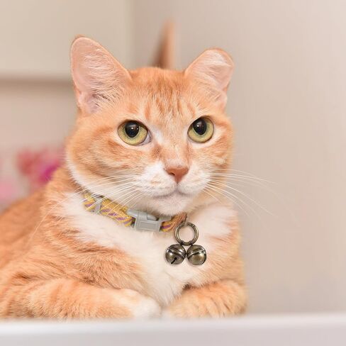 أجراس الكلاب لتتبع الحيوانات الأليفة 2 حزمة صاخبة إضافية Cat Dogs Twlar Bells Copper Bell for Dog Pet Tracker Tracker Pets Exclars - تعرف على أين حيواناتك الأليفة - البرونزية in Saudi Arabia