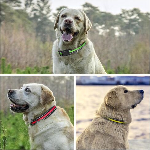 PetJoy Dog Bark Collar, Automatic Barking Collars, Bark Shock Collar with 5 Adjustable Levels of Sensitivity, Barking Training Collar IPX7 Waterproof, Bark Collar 3 Packs in Kuwait