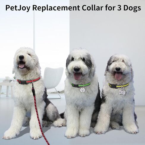 PetJoy Dog Bark Collar, Automatic Barking Collars, Bark Shock Collar with 5 Adjustable Levels of Sensitivity, Barking Training Collar IPX7 Waterproof, Bark Collar 3 Packs in Kuwait