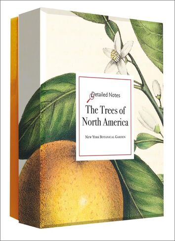 The Trees of North America: A Detailed Notes notecard box in Saudi Arabia