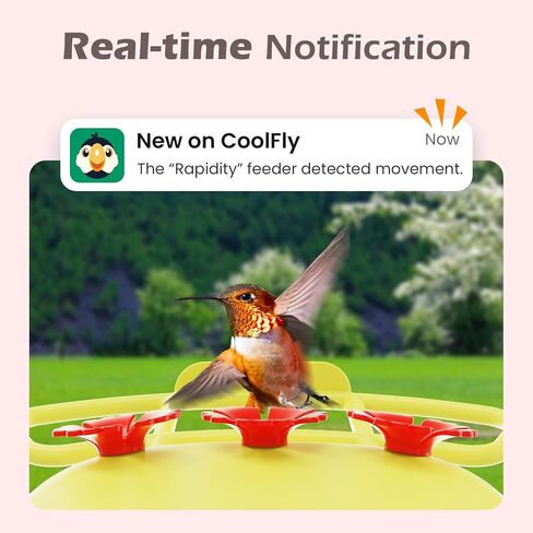 مغذي الطائر الطنان الذكي مع الكاميرا تعمل بالطاقة الشمسية ، والتعريف ، والإخطار الفوري ، ومكافحة التسرب والخندق النمل ، والهواء الطلق ، وهدية الفكرة لمحبي الطيور (20 أوقية) in Kuwait