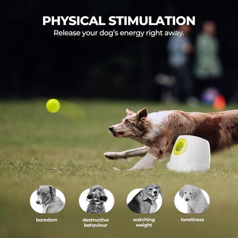 AFP Automatic Ball Launcher for Dogs Interactive Puppy Pet Ball Outdoor Thrower Fetch Machine, 6 Balls Included (2.5 inch) for Medium to Large Dogs, Rechargeable Battery in Saudi Arabia