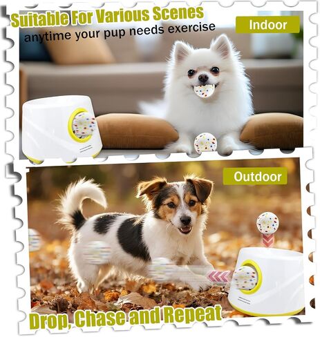 Magicorange Automatic Dog Ball Launcher in Saudi Arabia