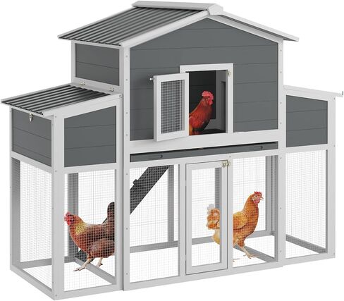 Coop Wooden Chicken For 2-6 Dickens ، منزل دجاج في الهواء الطلق مع صناديق العش وصناديق العش الخارجية ، House House House Hutch Dicken Cage مع سقف ومقاوم للماء ، (66''lx32''wx53''h) in Saudi Arabia